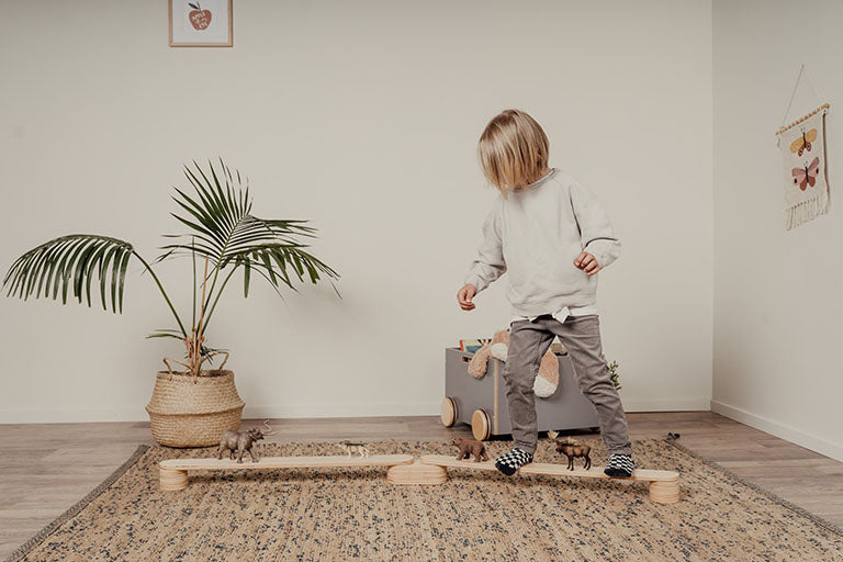 Δοκός Ισορροπίας