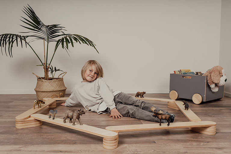 Δοκός Ισορροπίας